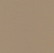 Leather and Fabric Samples | S10Home