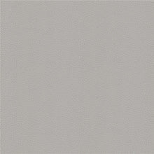 Leather and Fabric Samples | S10Home